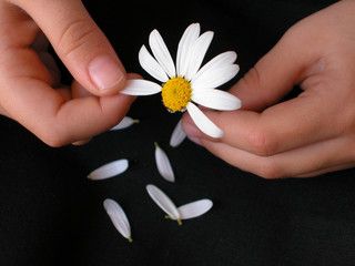 Es Candidata, No Es Candidata, Es, No Es…