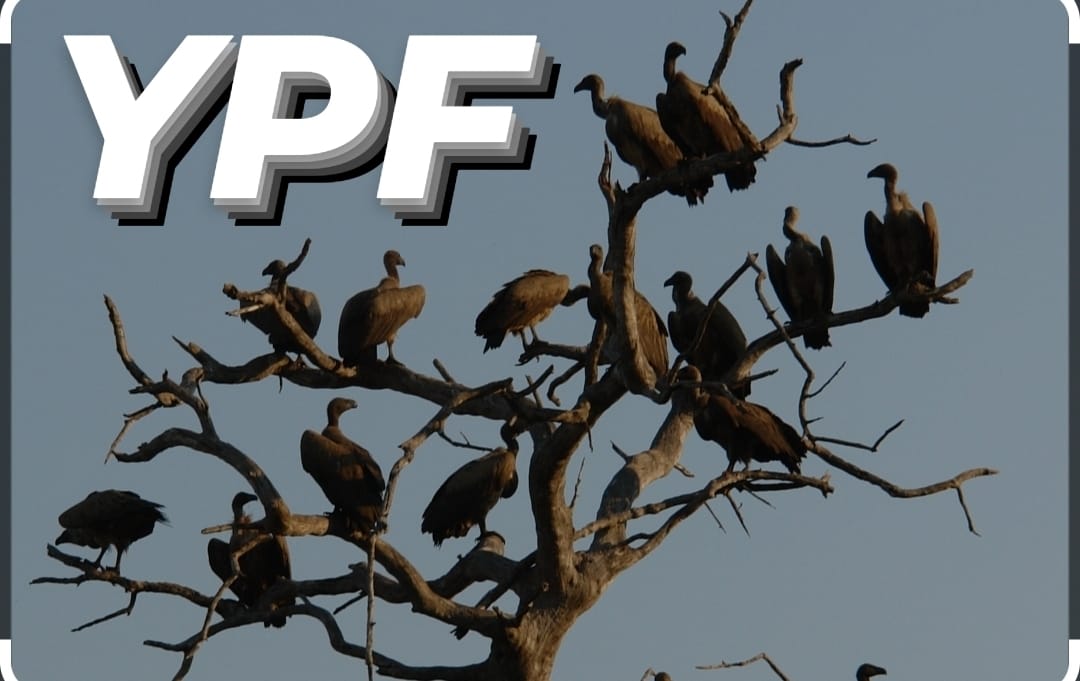 Un Fallo en EE.UU Contra Argentina: ¿Buitres? ¡Qué Raro!