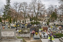 El Camino A La Victoria De Milei