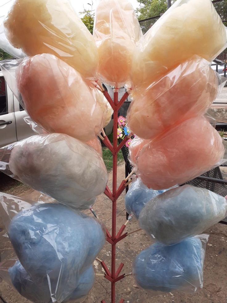 A Dos Años Del Renacimiento de Cristina, La Banda de Delincuentes Sigue Libre.