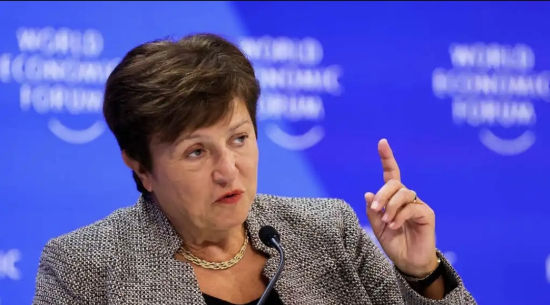 ¿QUIÉN SOS GEORGIEVA?