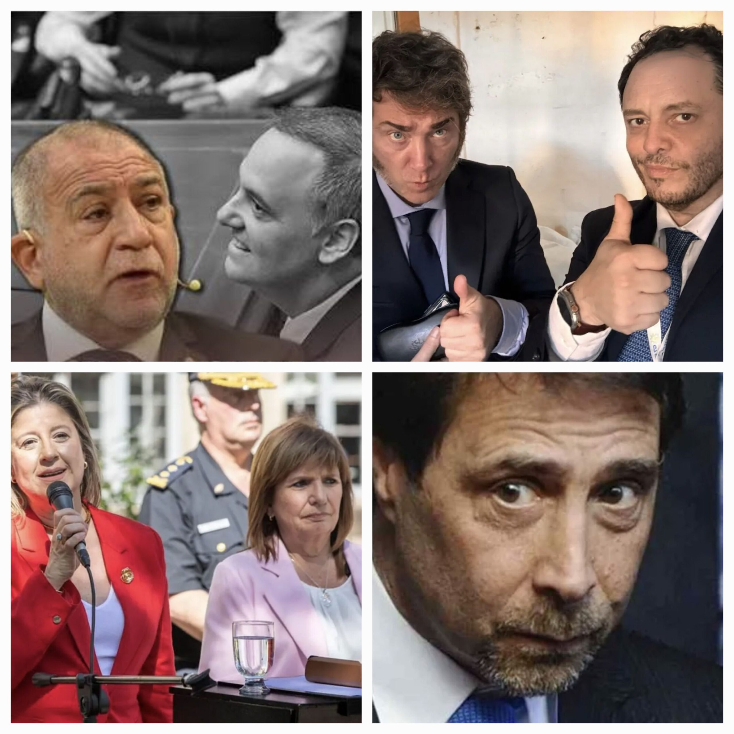 Milei, Monteoliva,  Reidel, Juez, Bullrich, Feinmann…
